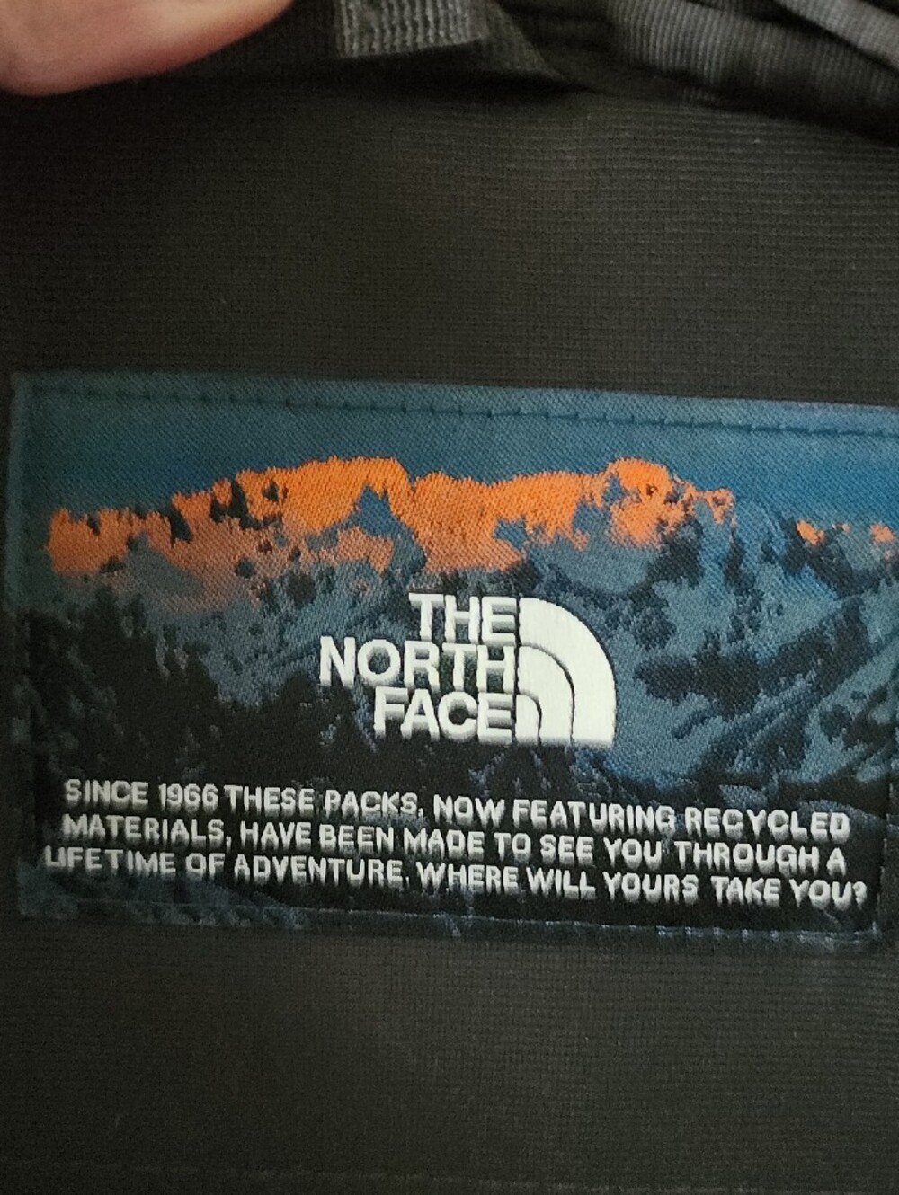 The North Face Borealis Backpack in Black with Pink Floral Print - Picture 7 of 11